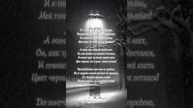 #стихи #покров #snowfall #fyp #shorts #рекомендации #любовь #мечта #снег #снегопад #надежда #чудо