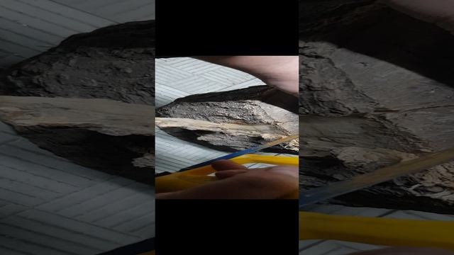 вскрытие модуля индикации (табло) от холодильника Samsung RL34
da97-05486k дубль1.(рукажеп мод)