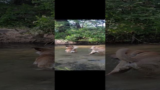 VID_20230730_174416