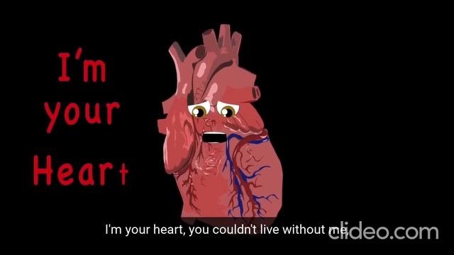 the-heart-anatomy-song_DqkLf9L4