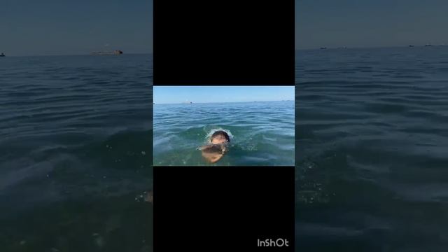 Поездка в Туапсе