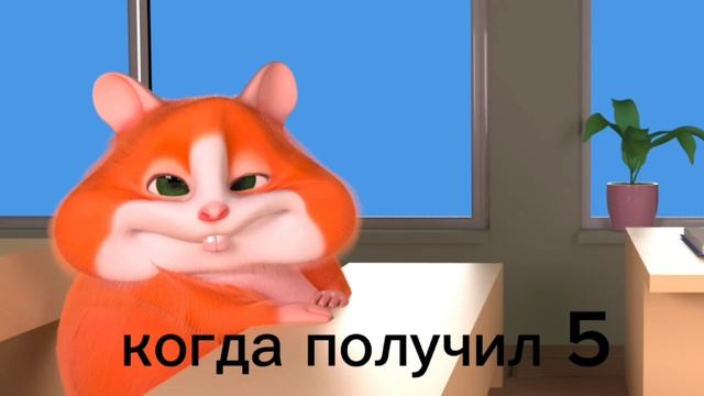 Хш 11 серия муд