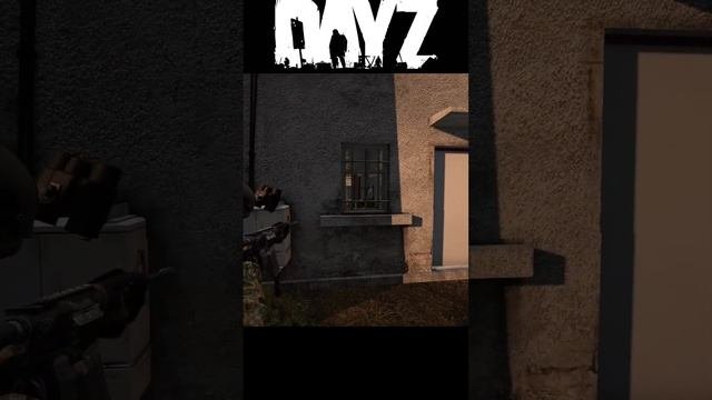 1 Vs 3 Dayz #dayz #dayzstandalone #survival #выживание #playstation