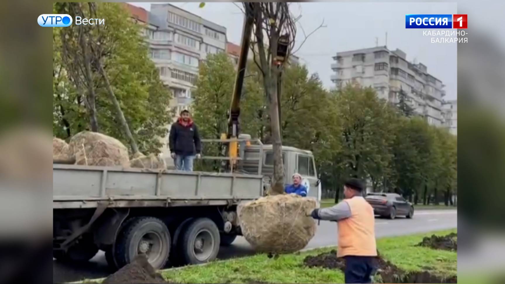 В Нальчике высадили 80 новых деревьев