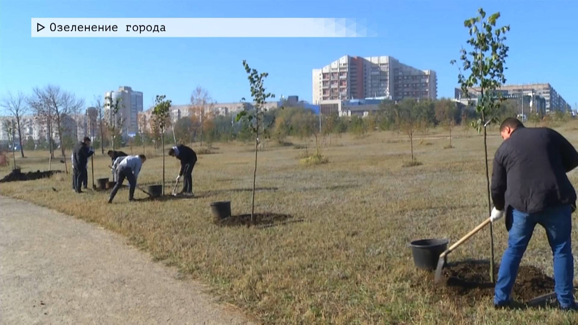 Время местное. Эфир: 17-10-2024 - Озеленение города