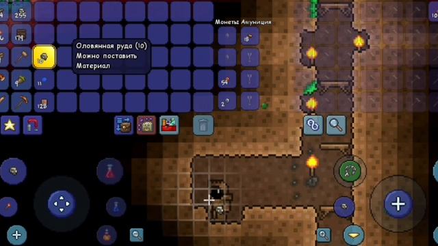 Я увеличил шахту в Terraria