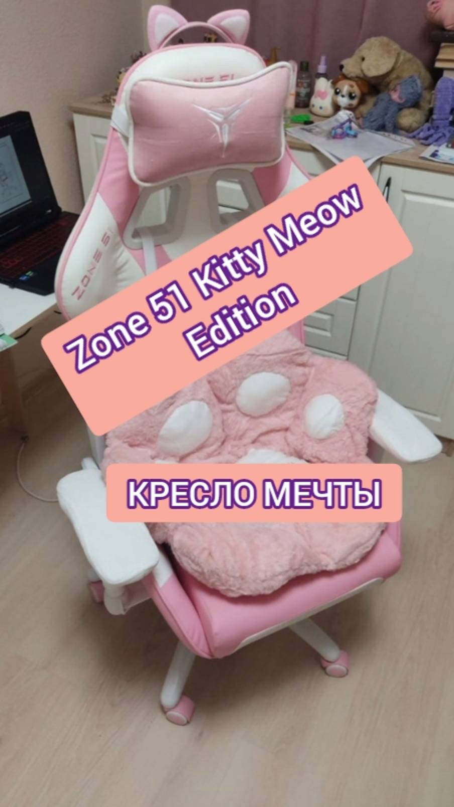 Супер кресло - Zone 51 Kitty Meow Edition - обзор!