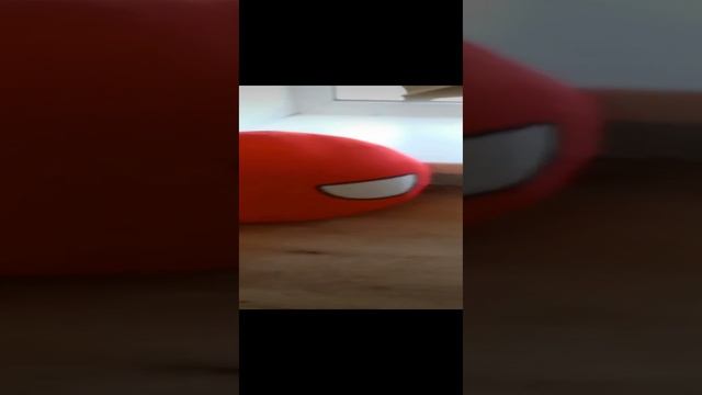 1000005979.mp4