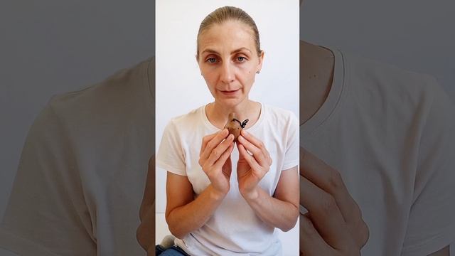 🔹СВИСТУЛЬКА-ПТИЧКА • Пример звука 🔹.mp4