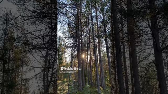 БУДЬ ИСЦЕЛЕН… short