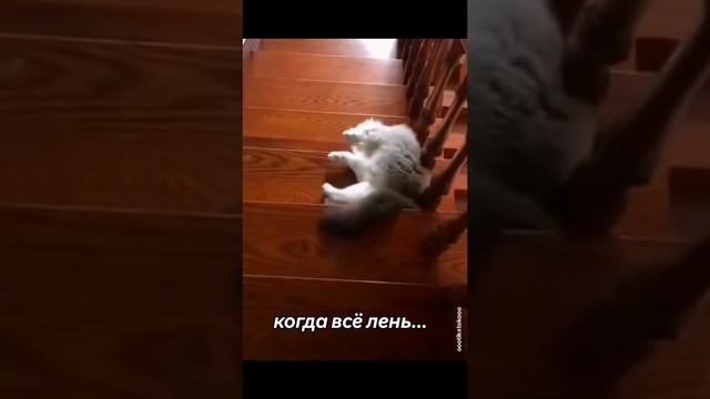 Лень