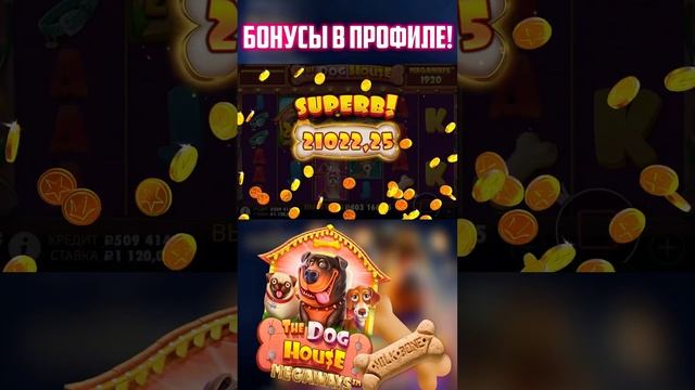 СОБАКИ ДЕЛАЮТ КРУПНЫЙ ЗАНОС ПОД БОЛЬШИМИ БУДКАМИ! #казино #казино_заносы #заносынедели