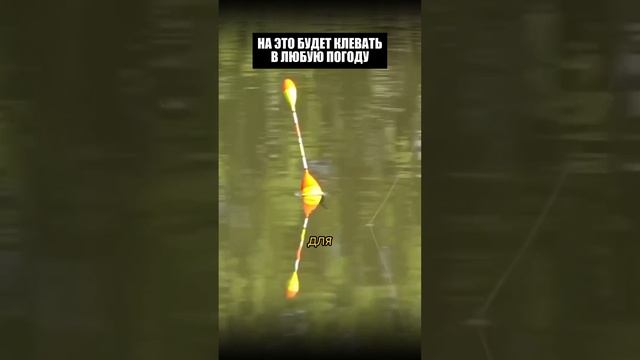 Сохраняй к себе 👍