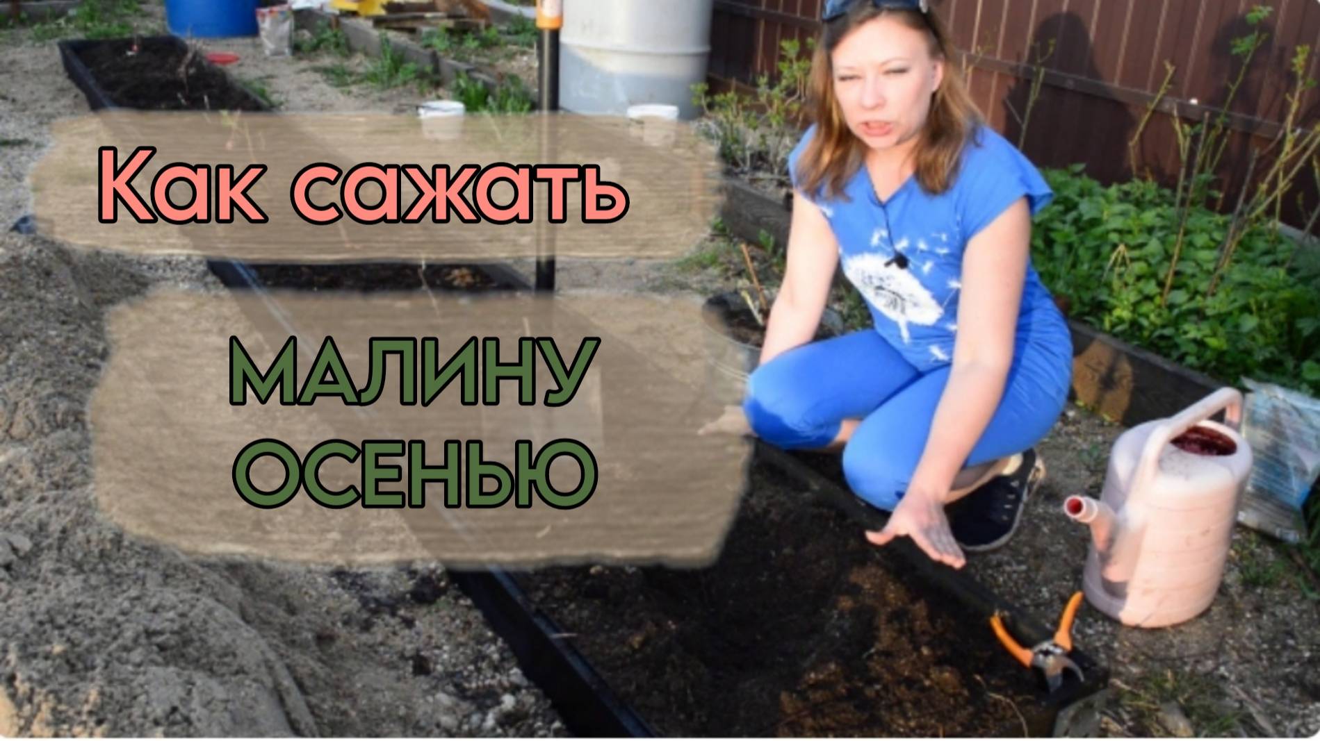 Грамотная посадка малины - секрет огромного урожая!