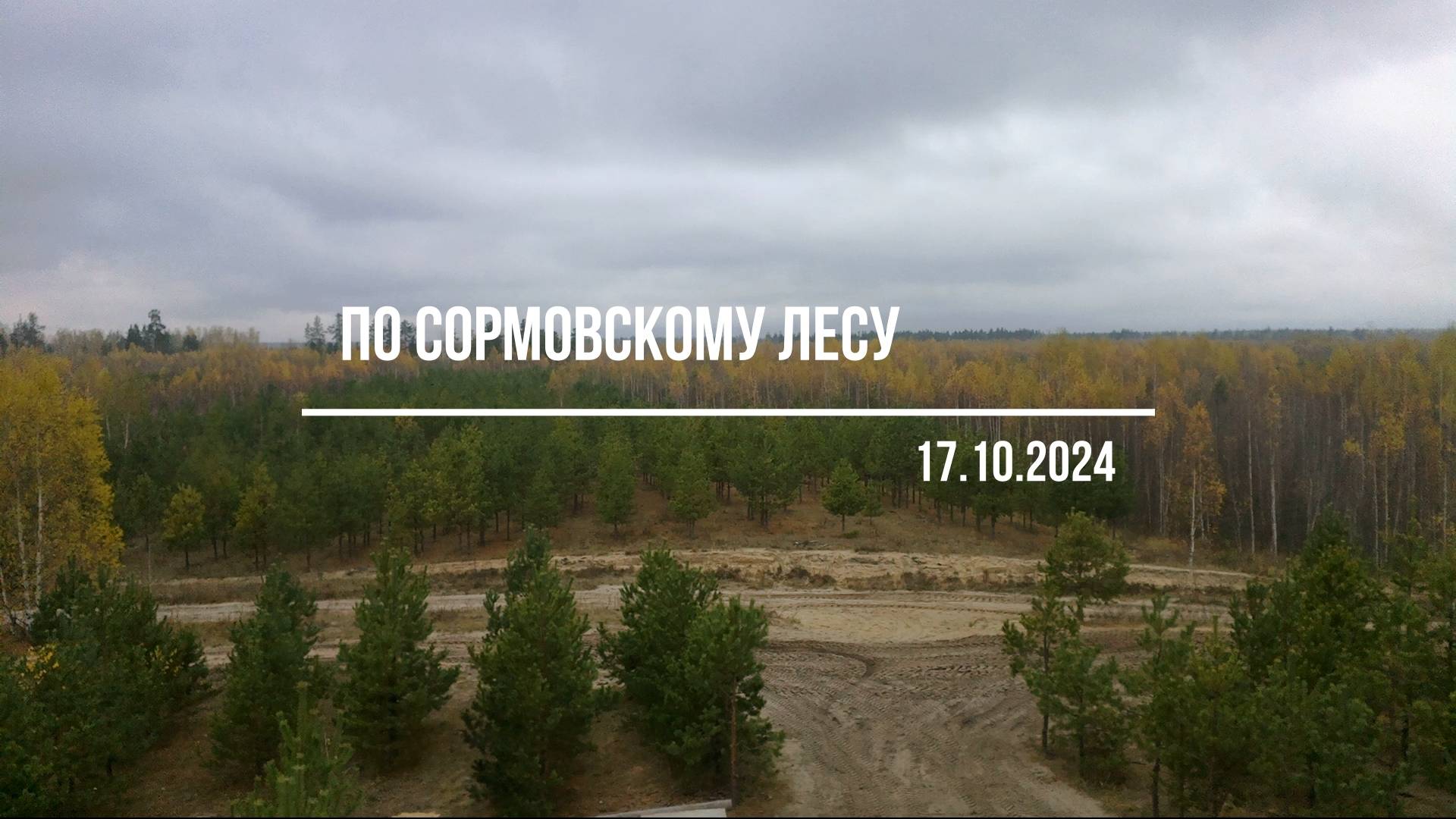 По Сормовскому лесу (17.10.2024)