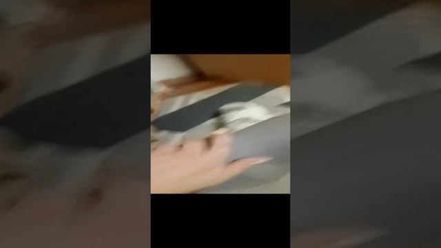 Я в гостях у своих котиков