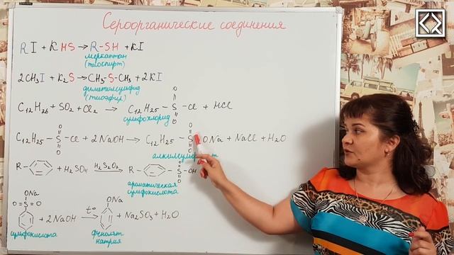 10 класс § 55 _Сероорганические соединения