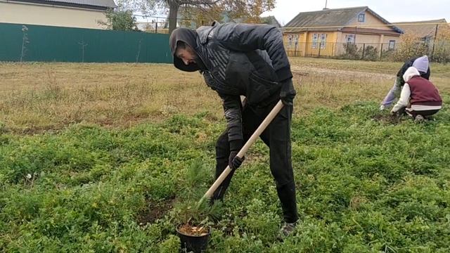 Чиканас авылында Бөек ватан сугышында һәлак булучылар истәлегенә кедр аллеясына нигез салынды.