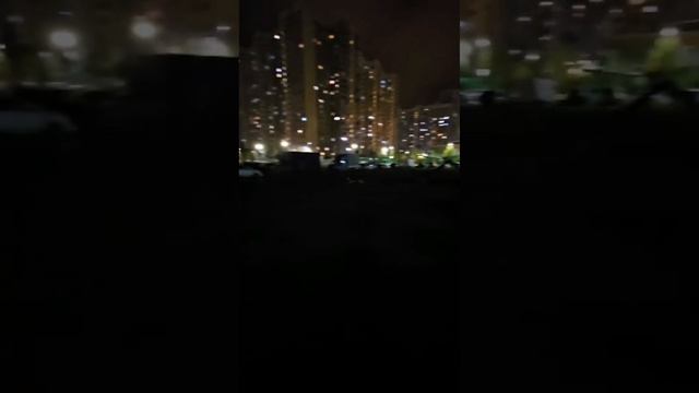 Веймаранер&Салюки