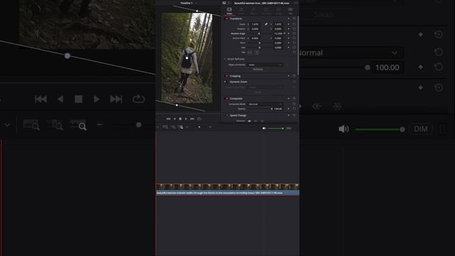 Что такое якорная точка и как ее использовать. #davinciresolve #tutorial #editing