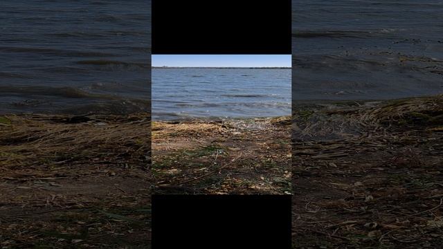 #fishing #карпфишинг #carpfishing #рыбалка #carp #ловлякарпа