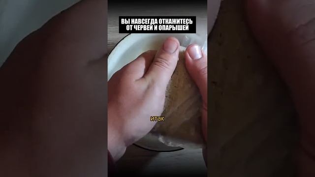 Сохраняй, пригодится ✅