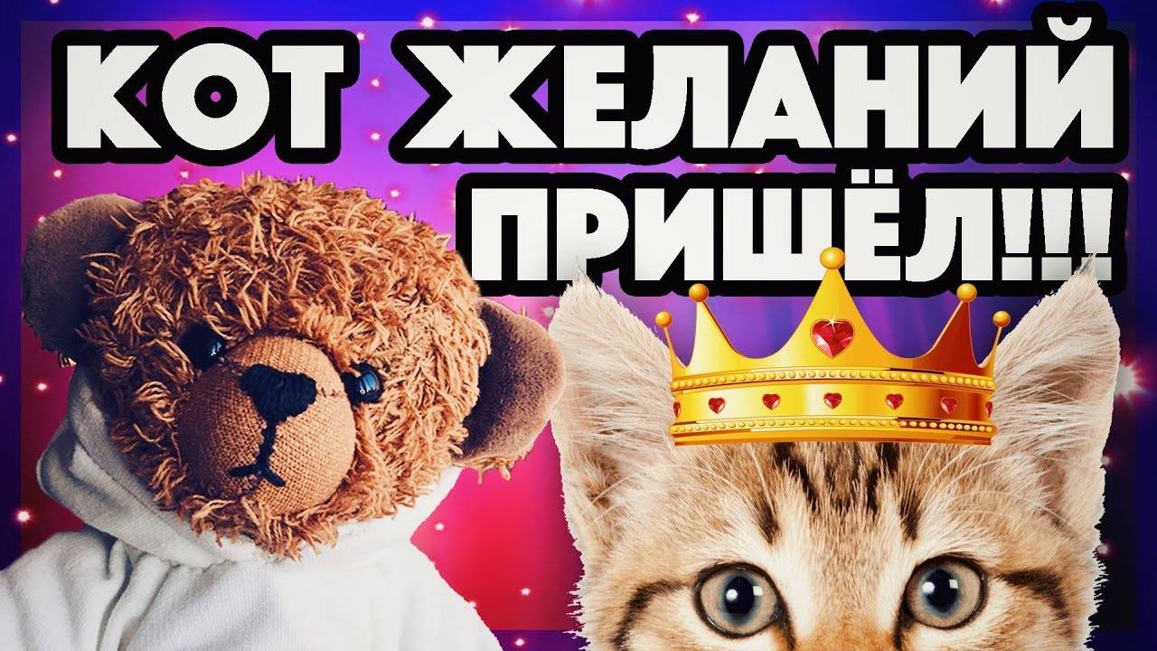Черный кот желаний. Устала с закрутками...Будни деревенской жизни.