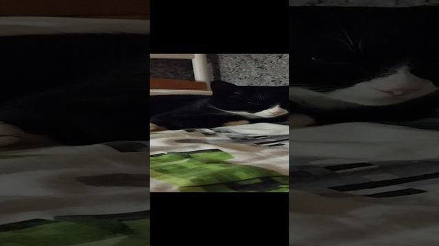 1000000292.mp4