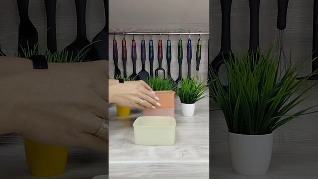 Контейнер Хранитель 490 мл TUPPERWARE.mp4