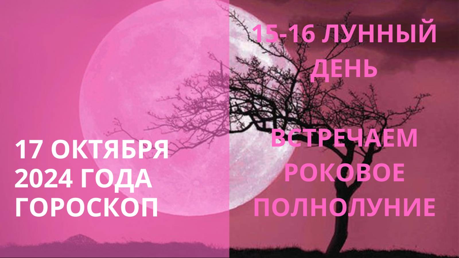 ⭐ 17 ОКТЯБРЯ, 15-16 ЛУННЫЙ ДЕНЬ ⭐ КАРМИЧЕСКОЕ ПОЛНОЛУНИЕ В ОВНЕ ⭐ Контакты floransia@yandex.ru