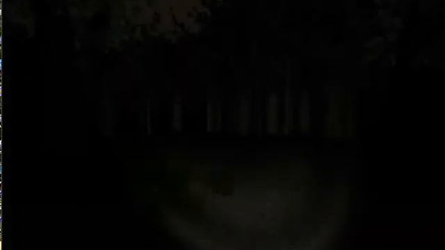 Slender Man The Eight Pages почти 8 страниц