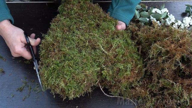 I took a bunch of moss, larch cones and made a cool thing! Watch to the end and you'll...