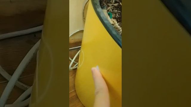 сорри что коряво написал