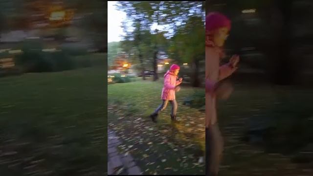 Вечер в парке Горького
