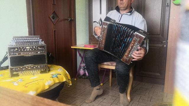 Гармонь Токарев Н Л