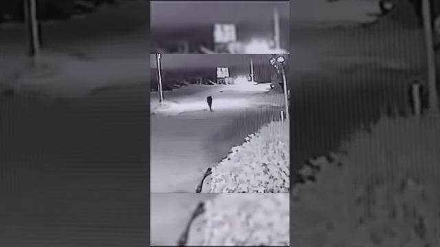 РЕАЛЬНЫЙ ОБОРОТЕНЬ В ЧИЛИ ● СТРАШНАЯ ИСТОРИЯ