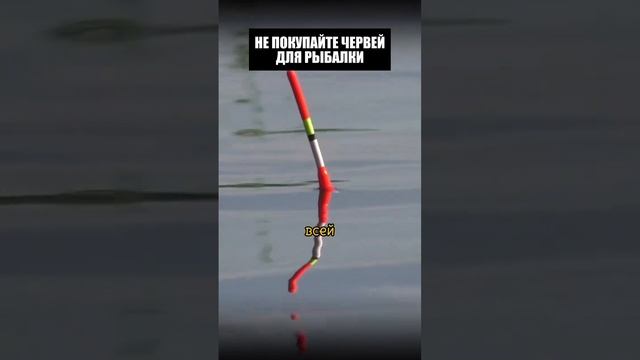 Сохраняйте к себе 👍