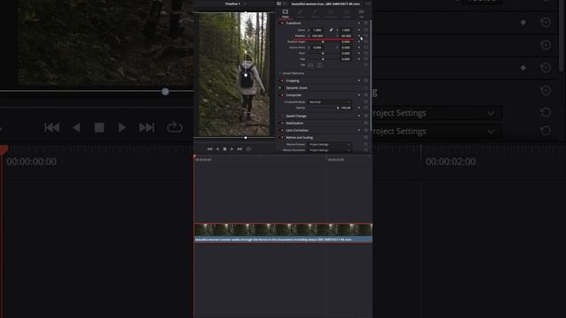 Как трансформировать клип в DaVinci Resolve. #davinciresolve #tutorial #editing