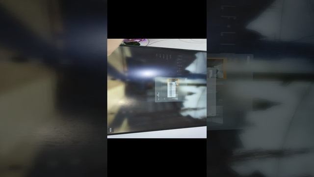 VID_20241017_133726.mp4