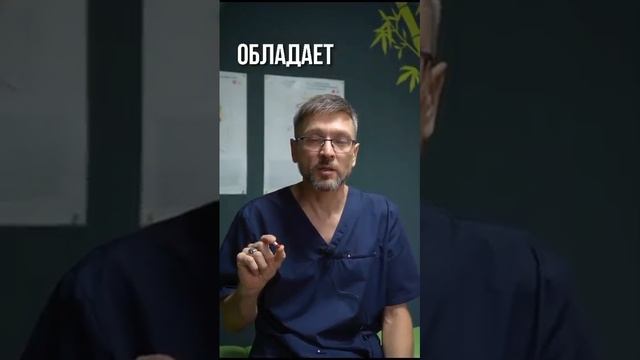 Почему я рекомендую МухоморыЧ для снятия депрессии, тревожности и внутреннего диалога. Андрей Белов