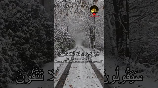 прекрасное чтение Ясира Ад Даусари, резко набравшее популярность в наших краях