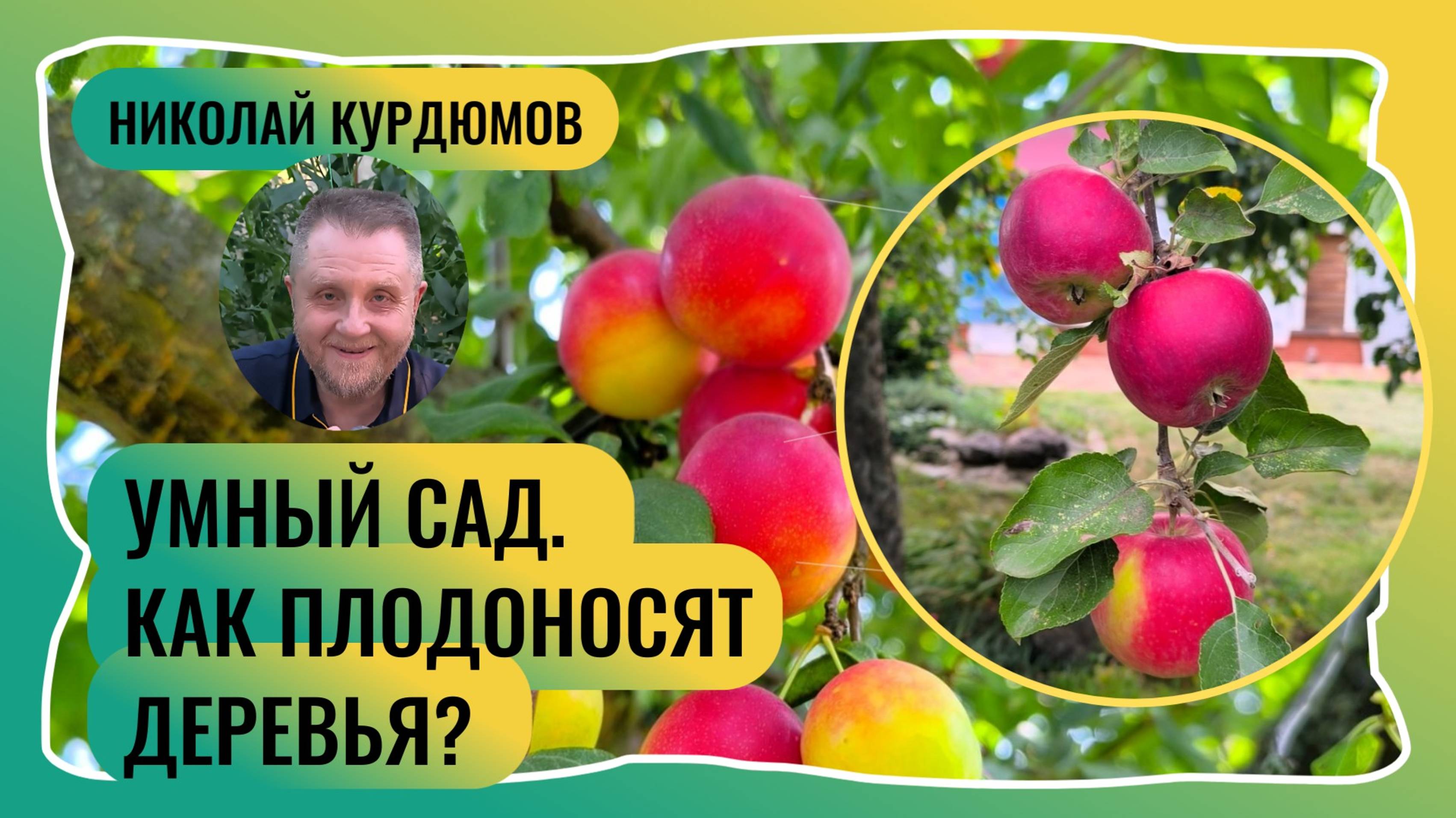 УМНЫЙ САД.  НА ЧЁМ И КАК ПЛОДОНОСЯТ ДЕРЕВЬЯ?