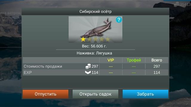 рыбалка 🎣 MyFishing 💪💪💪💪💪💪💪💪💪едим за Оситром   Белуга.  Осётр.Севрюга 🔥🔥🔥🔥🔥🔥🔥🔥