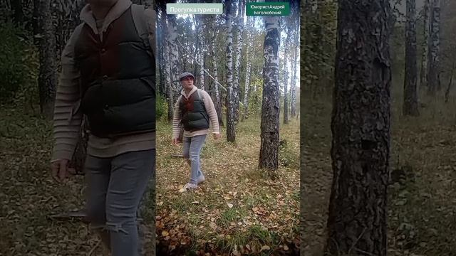 Весёлая прогулка по лесу 👍🌳😄