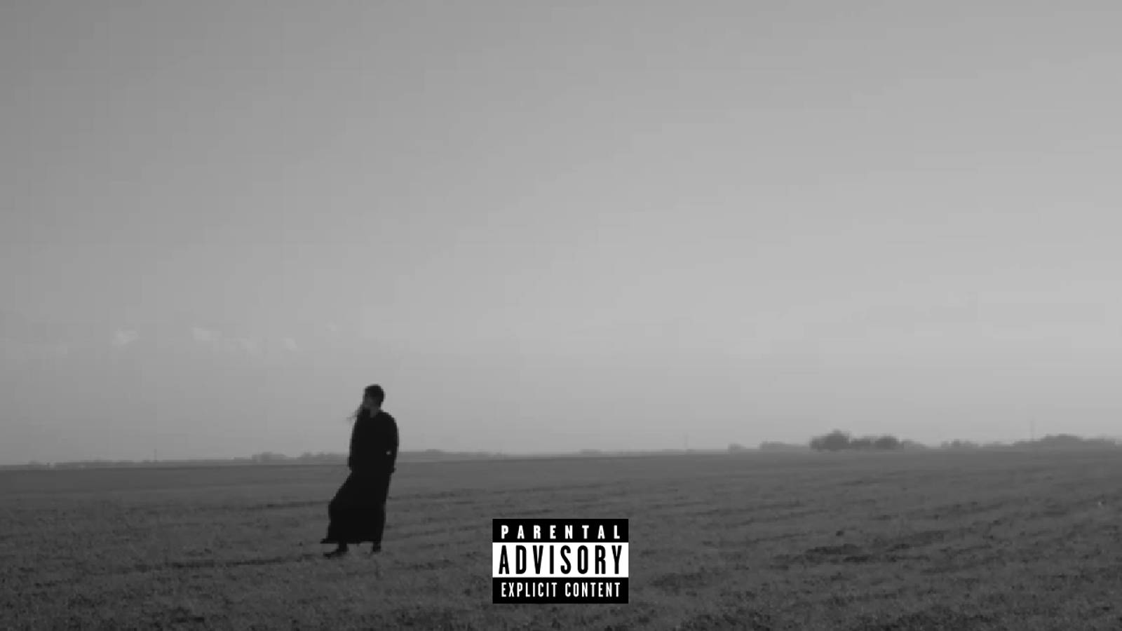 Nomad Punk - AA (snippet)