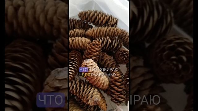 Как продавать на WB без вложений