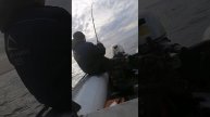 тащи карниллл