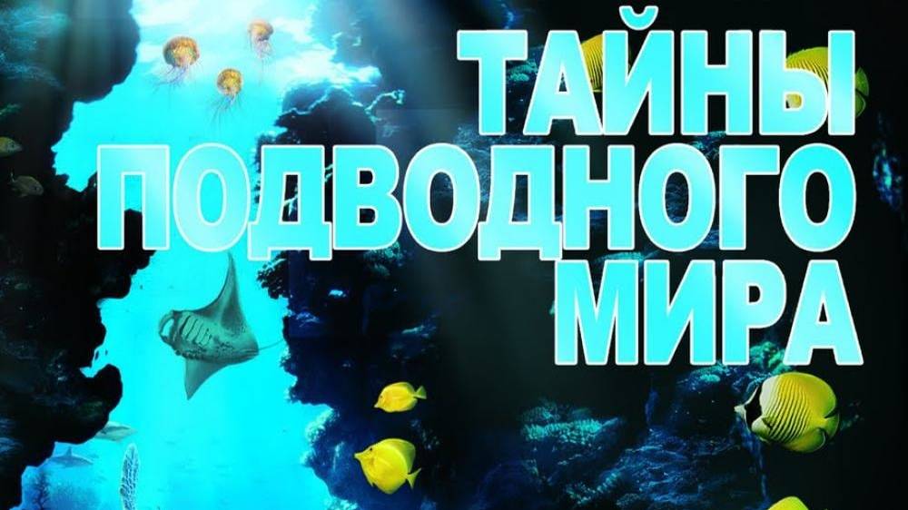 Тайны подводного мира