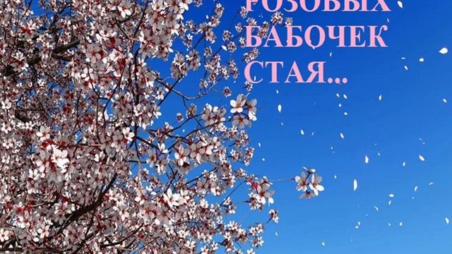 РОЗОВЫХ БАБОЧЕК СТАЯ