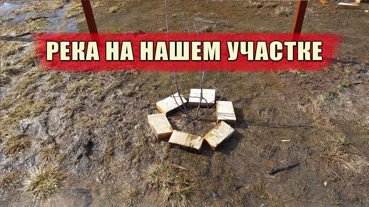 Что делать с реками на участке и грязной водой из крана